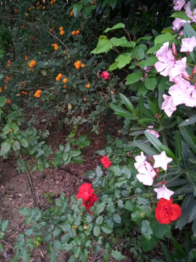 Sotogrande. Estancia Privada En Plena Naturaleza 外观 照片