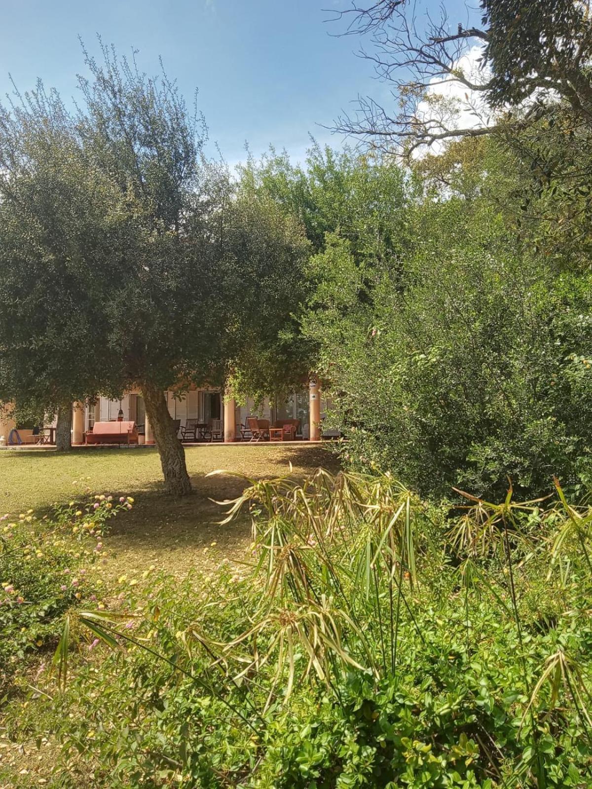 Sotogrande. Estancia Privada En Plena Naturaleza 外观 照片