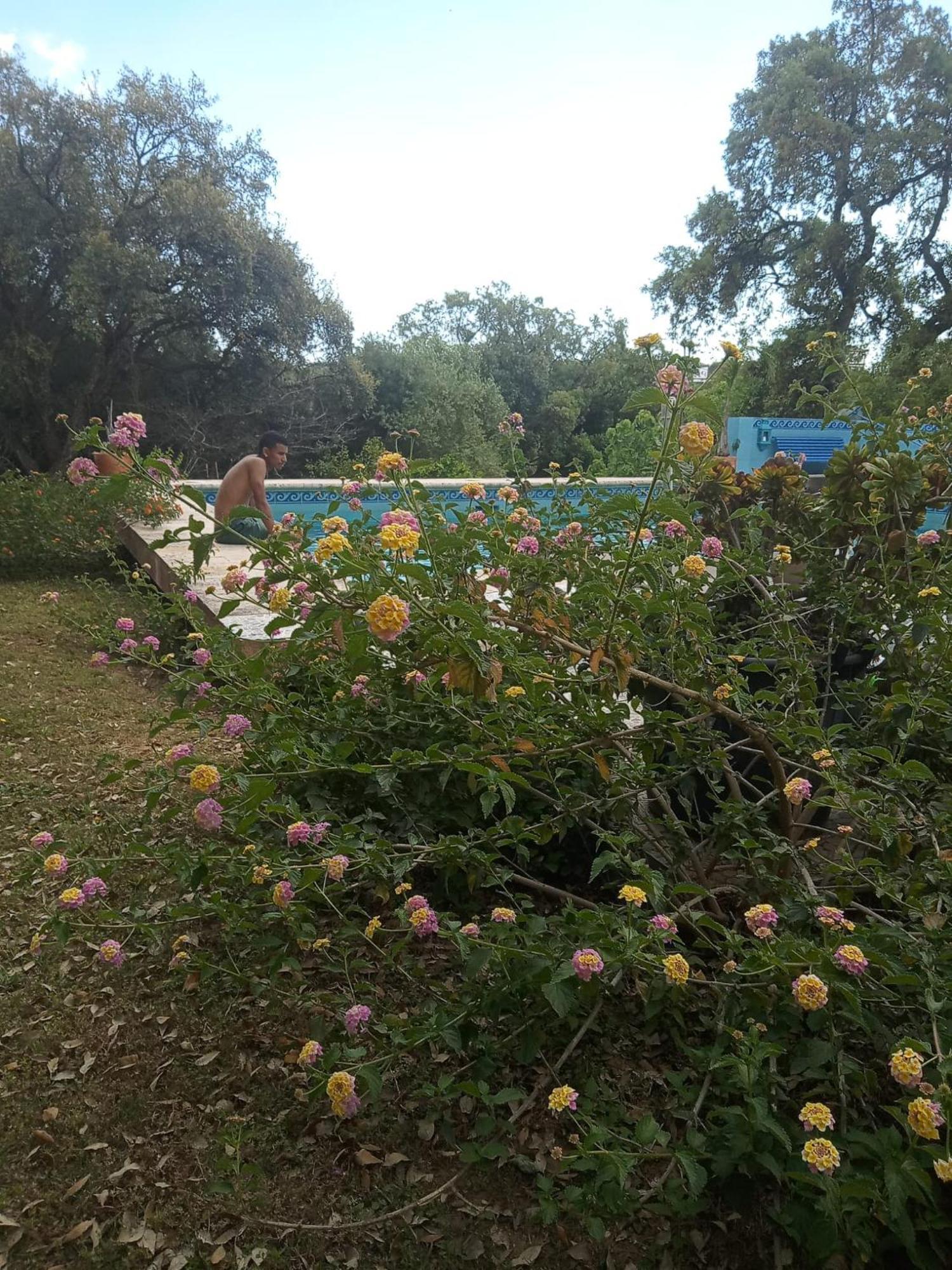 Sotogrande. Estancia Privada En Plena Naturaleza 外观 照片